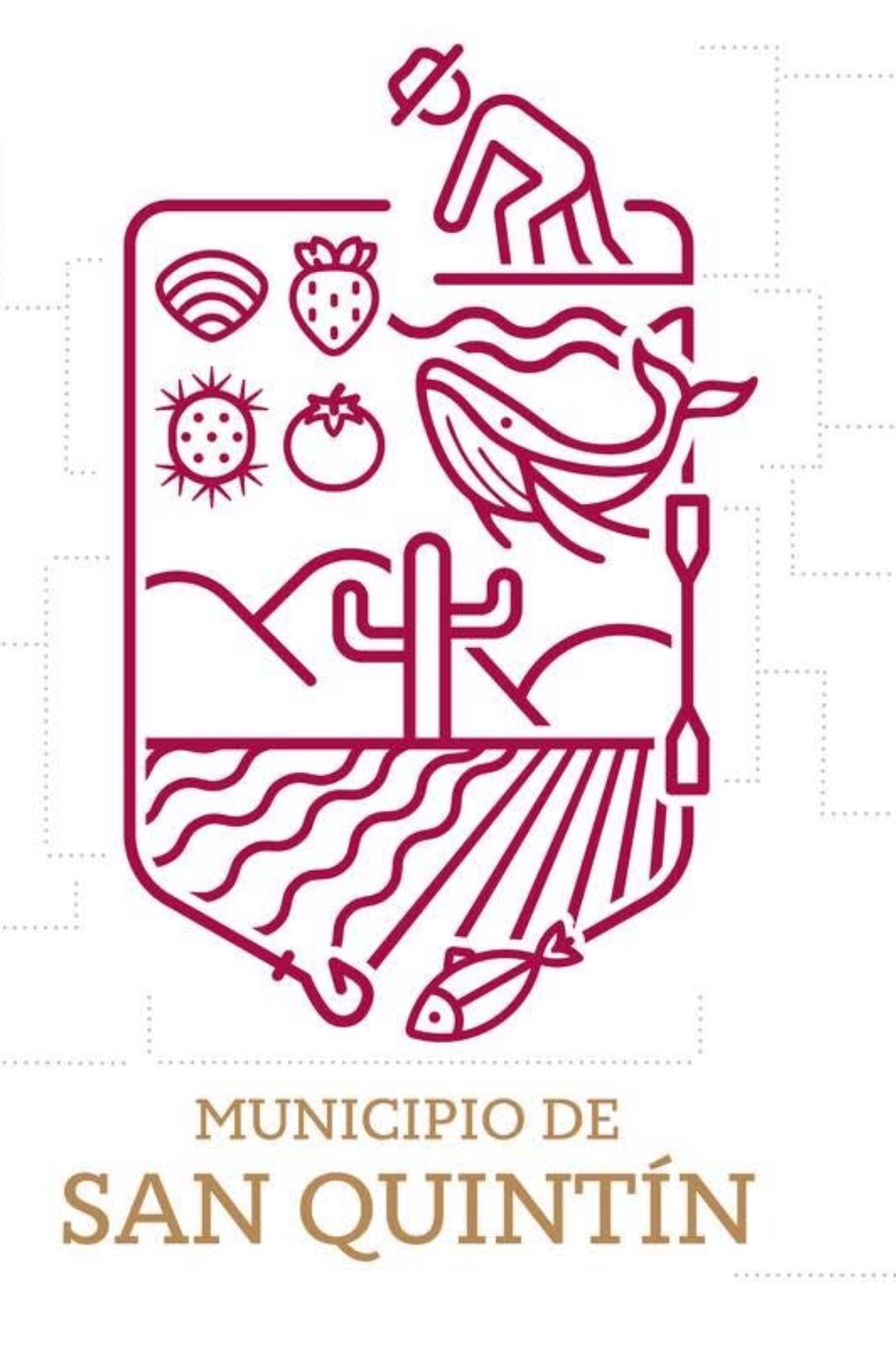 Municipio de San Quintín